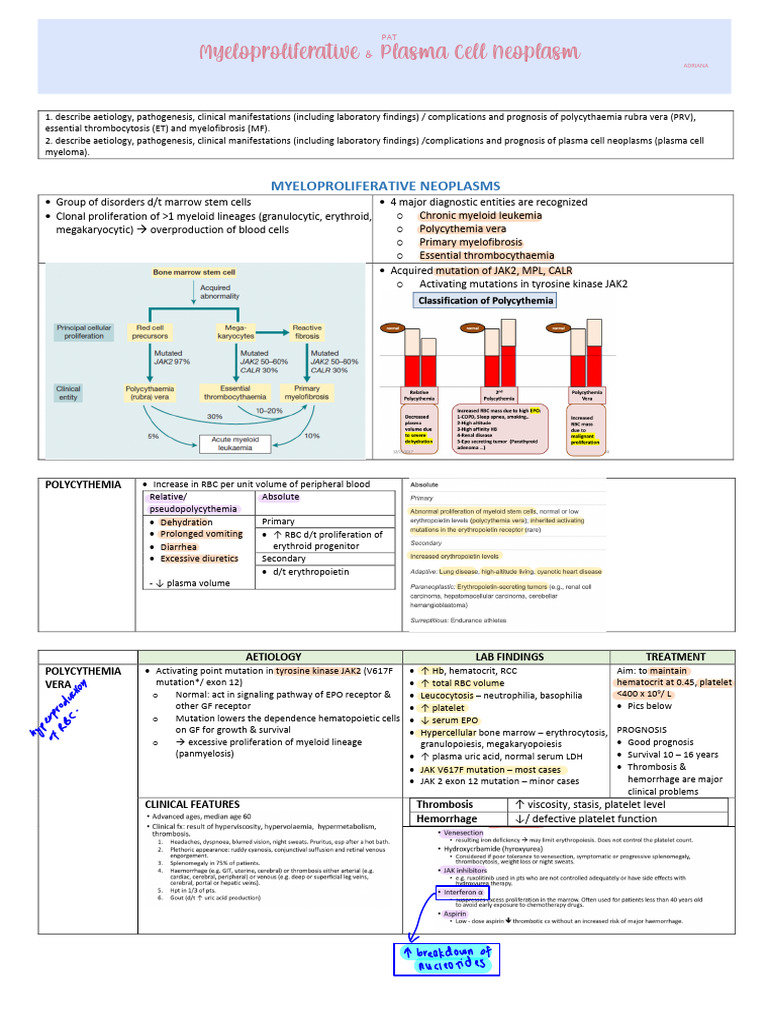 Plasma Cell Neoplasm