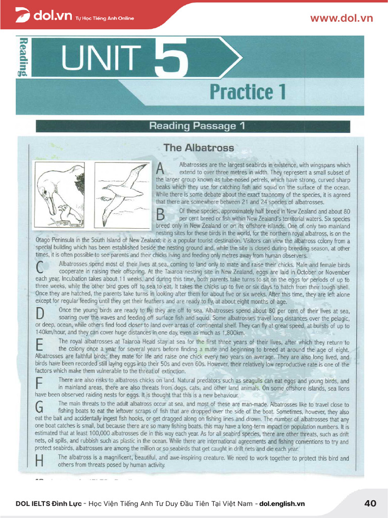 IELTS Reading Practice Tests | PDF