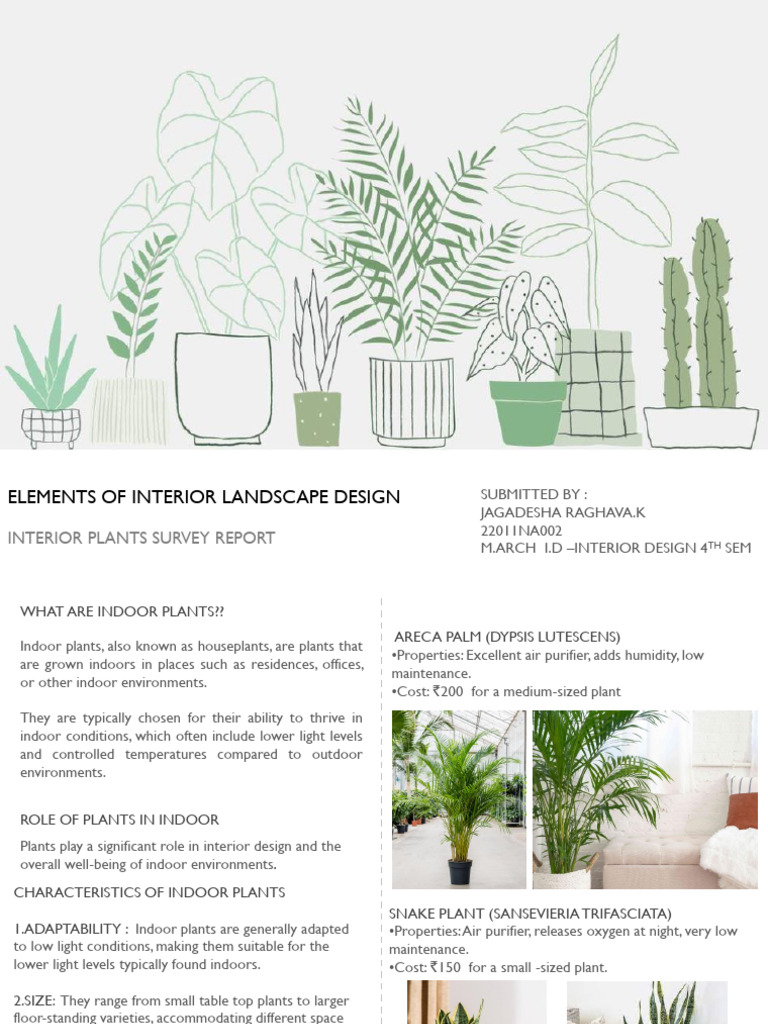 Indoor Plants: Benefits and Care Guide | PDF | Houseplant | Plants
