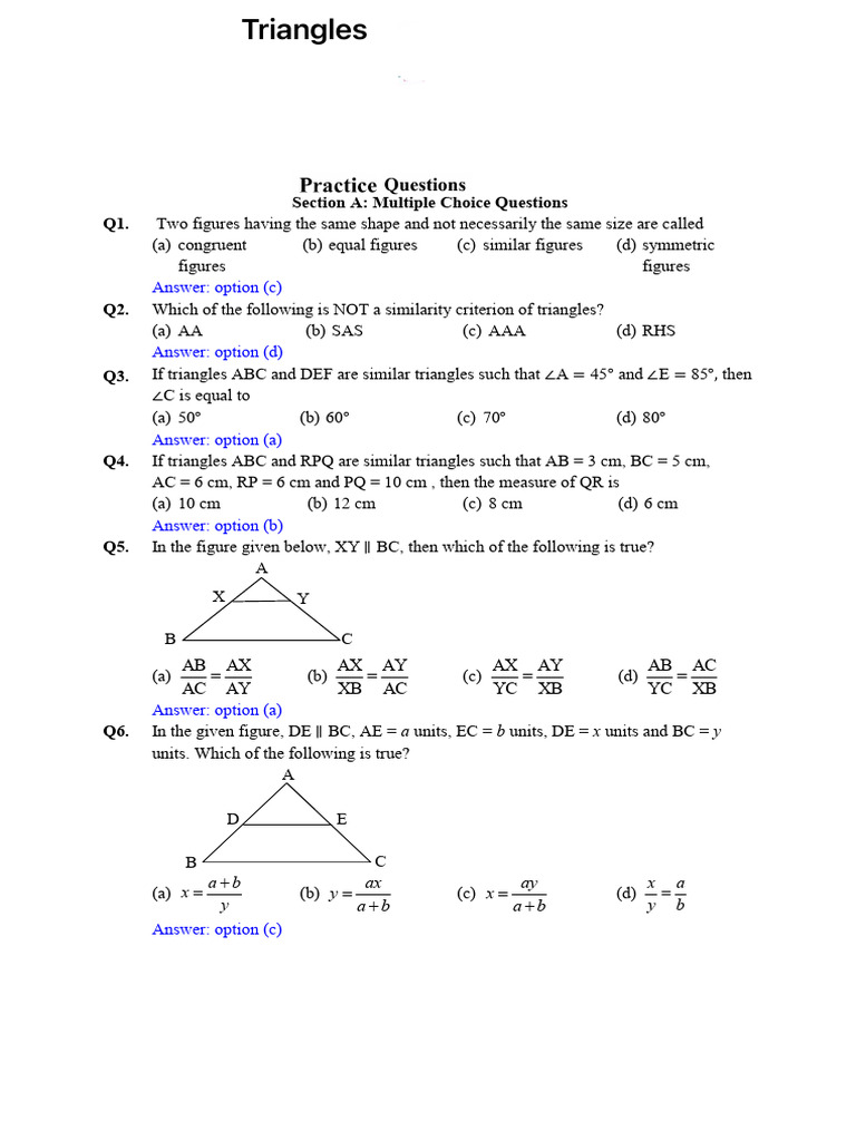 Class 10 Triangle Practice Sheet | PDF | Triangle | Geometry