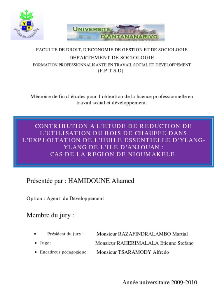 Hamidoune Ahamed L3 2010