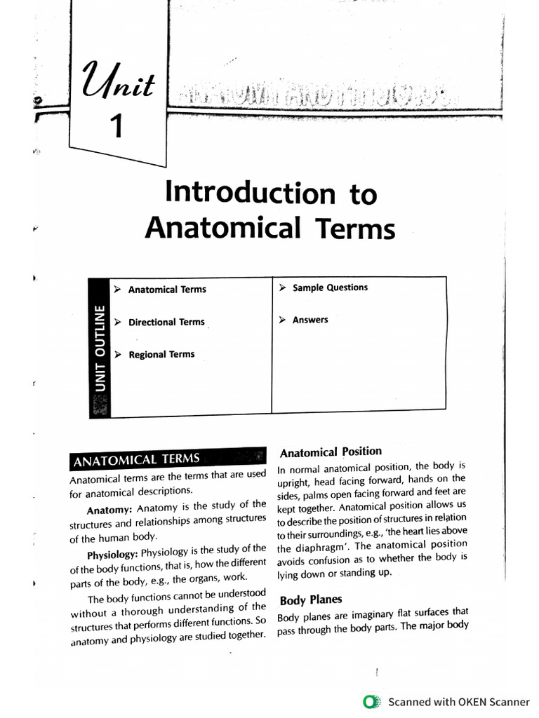 Anatomical Terminologies Pdf
