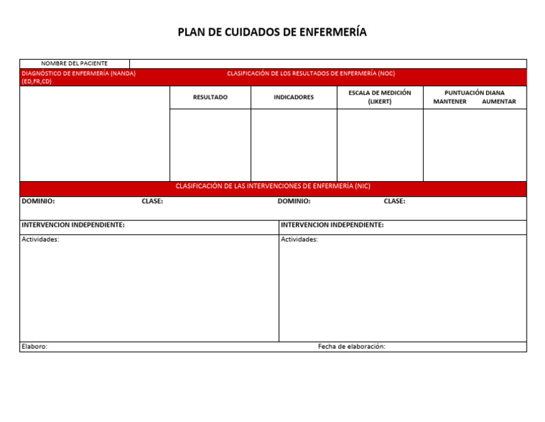 Formato de Plan de Cuidados de Enfermería | PDF