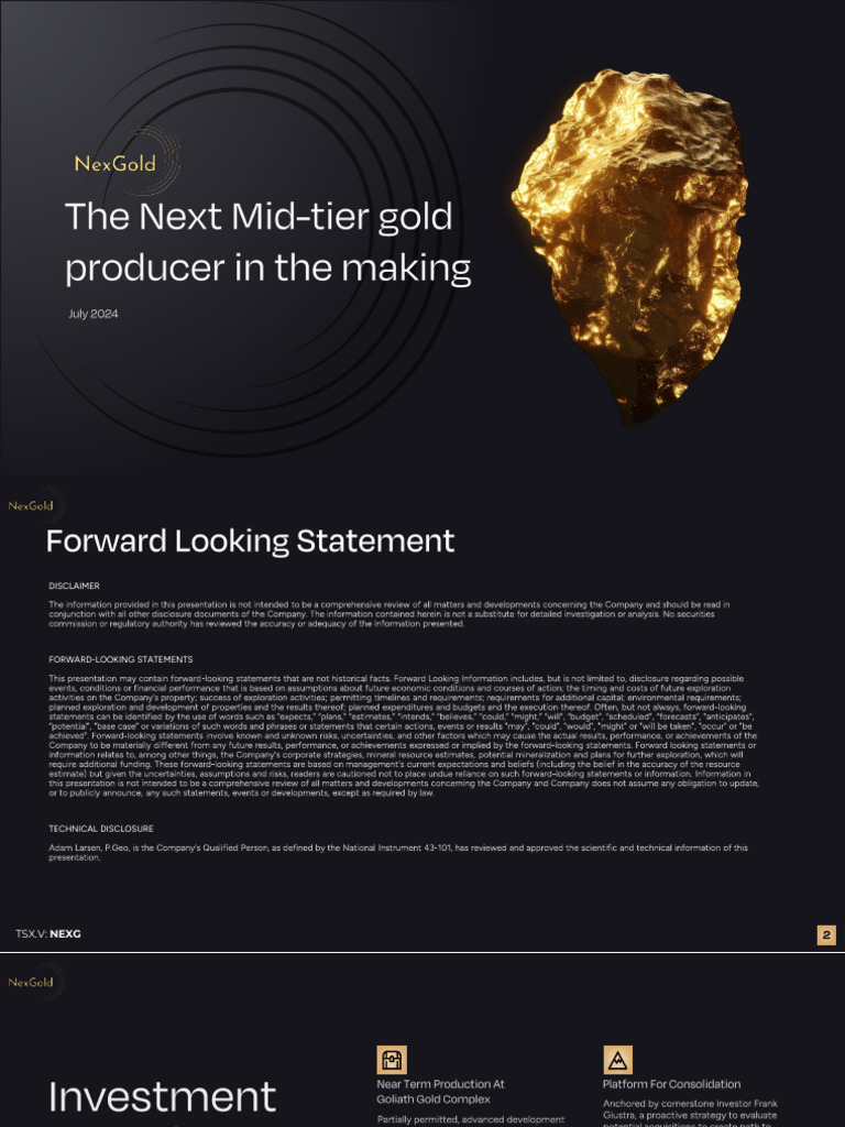 Viziv Technologies Stock Overview | PDF | Gold | Mining