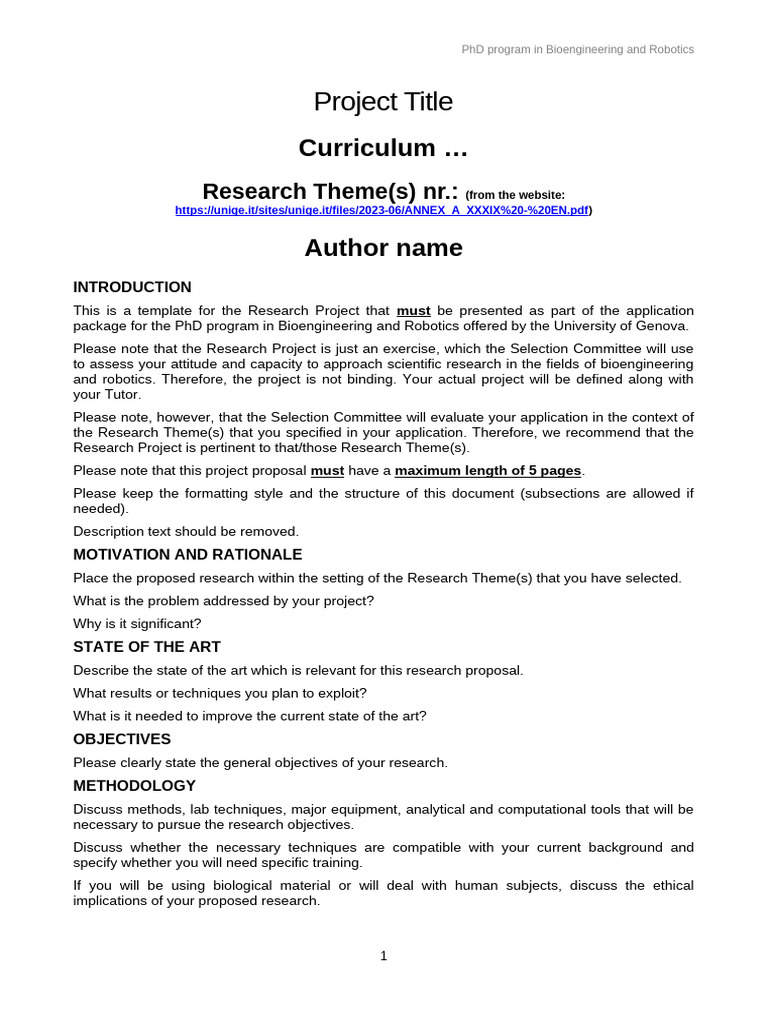 Template For Research Project 2024 | PDF