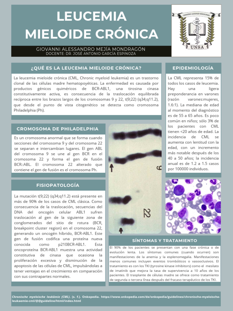 CML Gio PDF | PDF