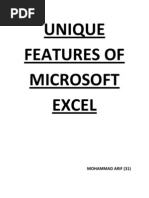 Unique Features of Microsoft Excel