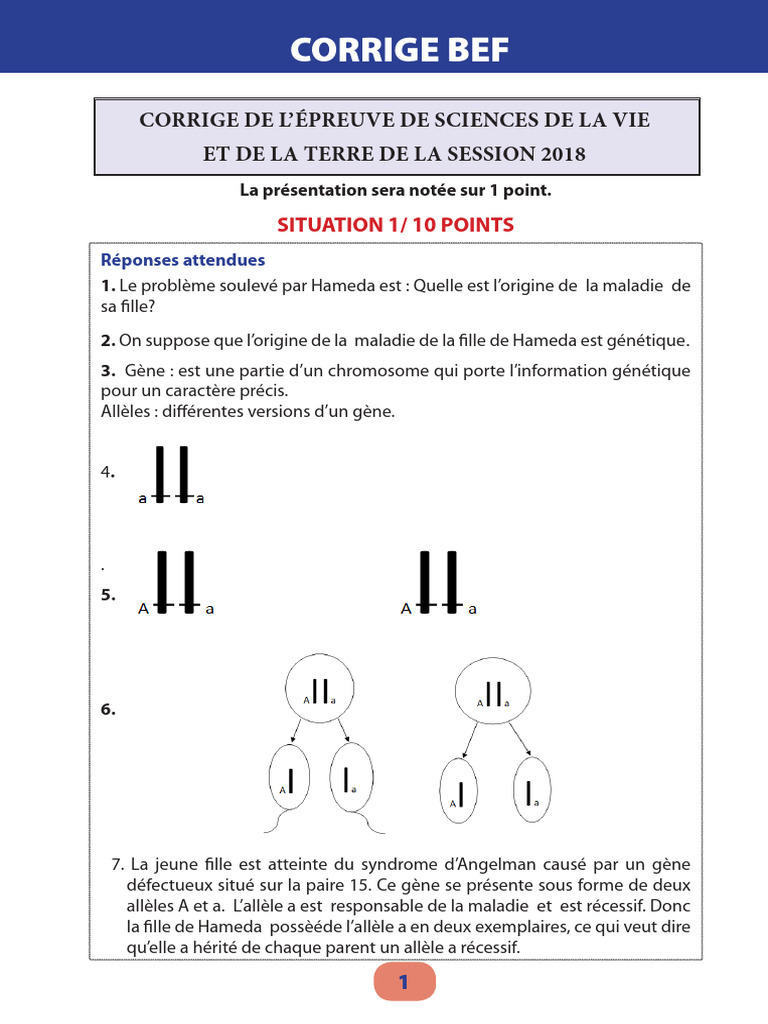 Bef Corrige SVT 2019 | PDF