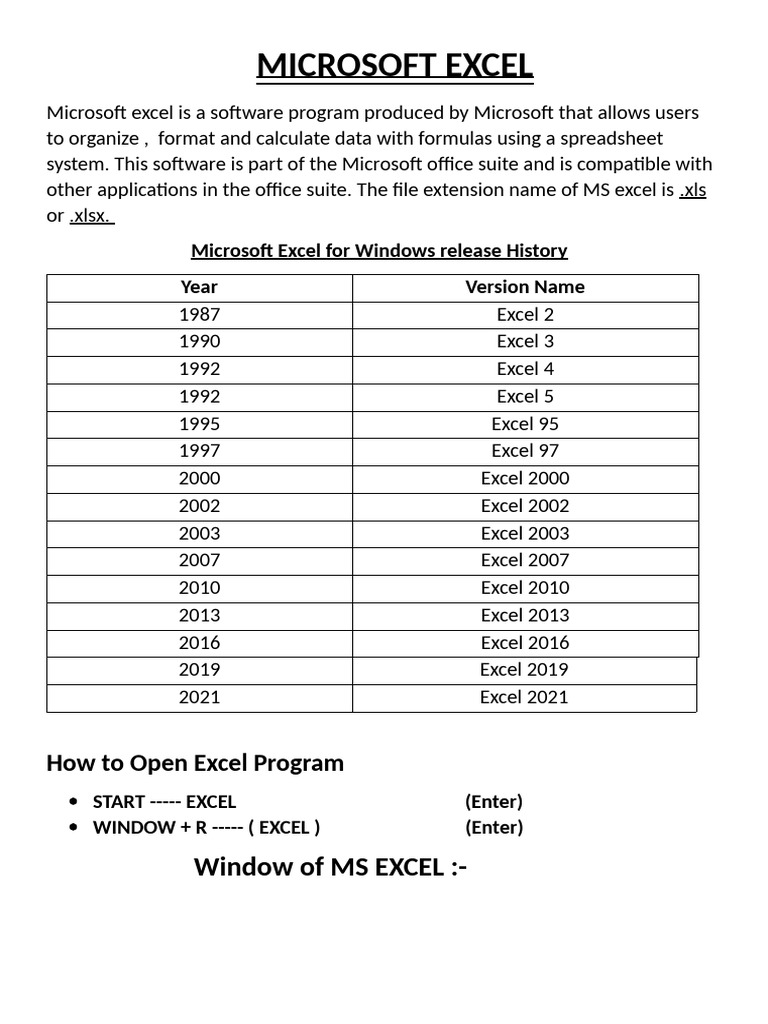 Microsoft Excel | PDF