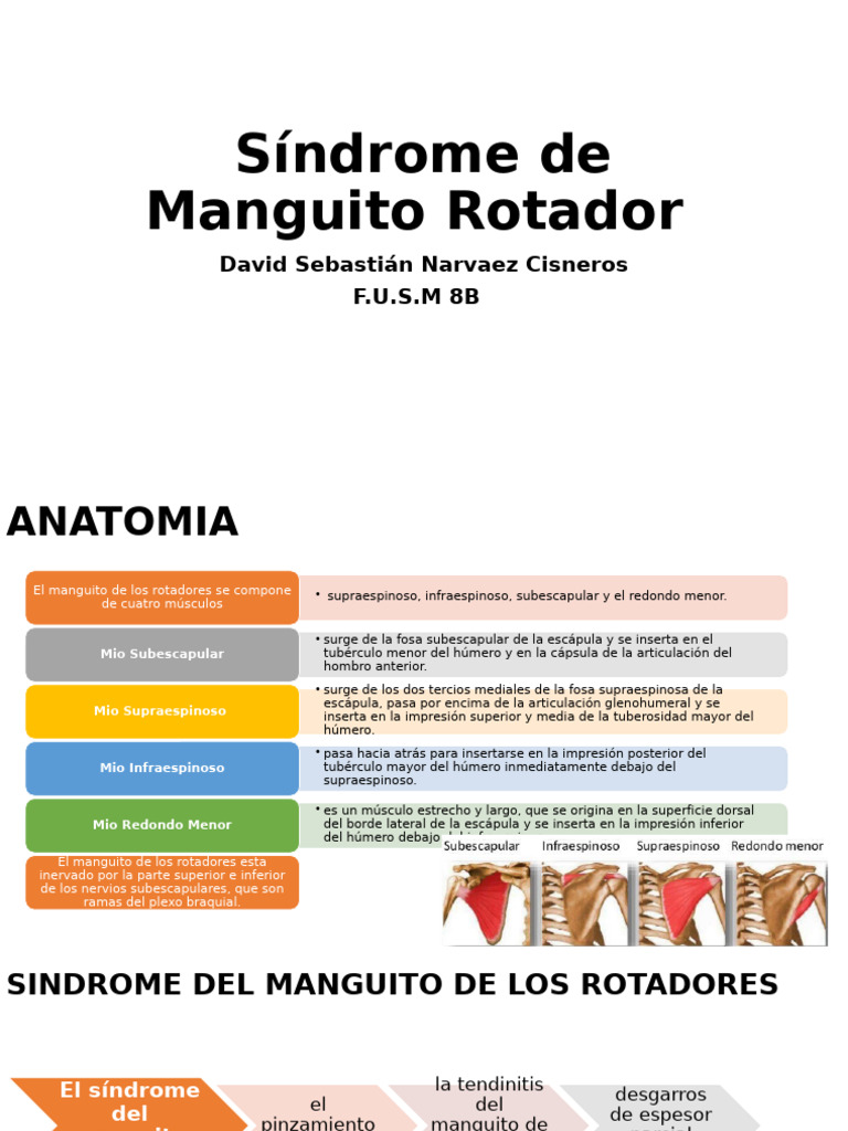 Síndrome de Manguito Rotador | PDF