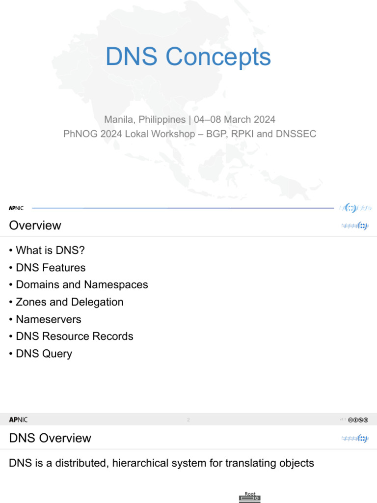 d5 s1 Dns Concepts | PDF