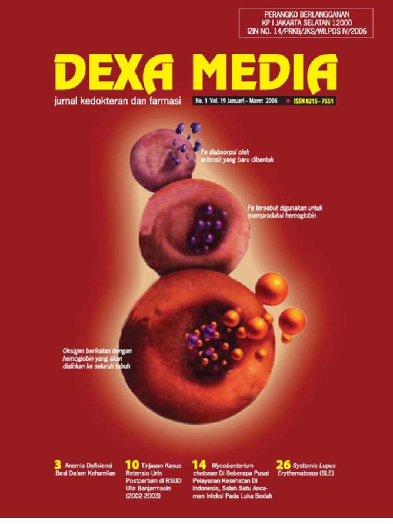 Publication Upload070416987576001176746454DexaMediaJan Mar2006