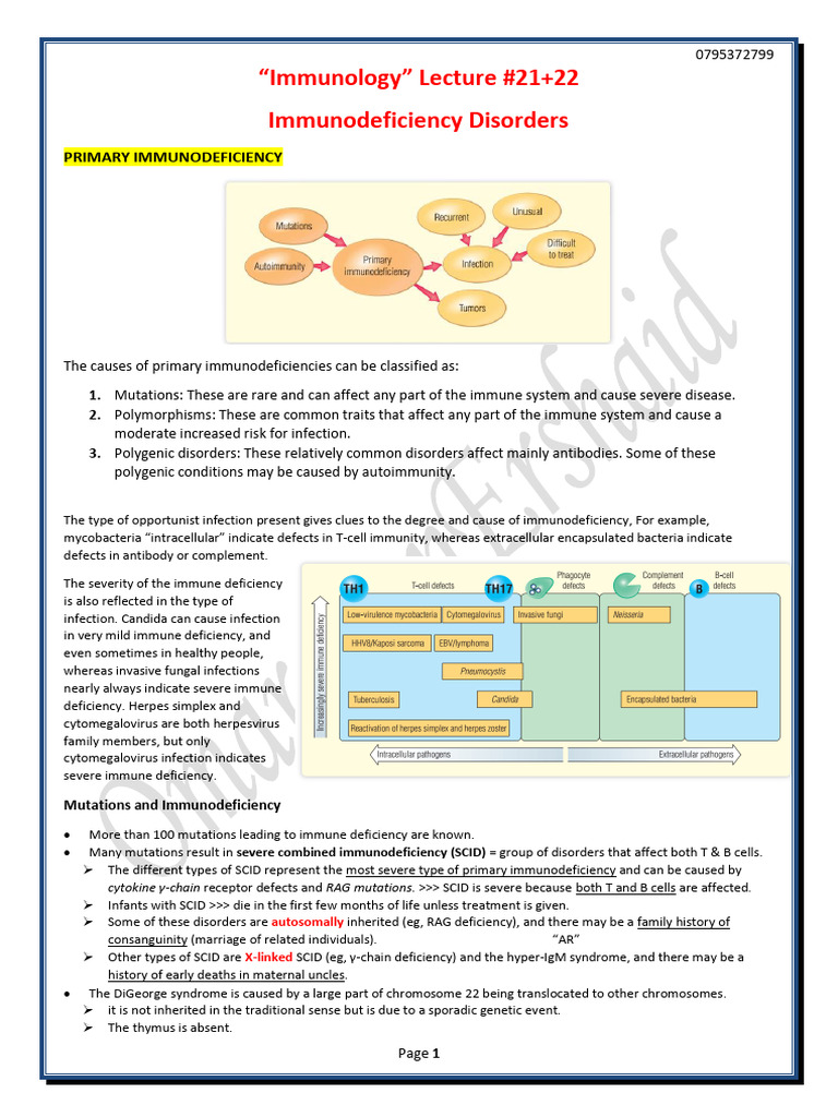 Primary Immunodeficiency Disorders Explained | PDF | Hiv | Management ...