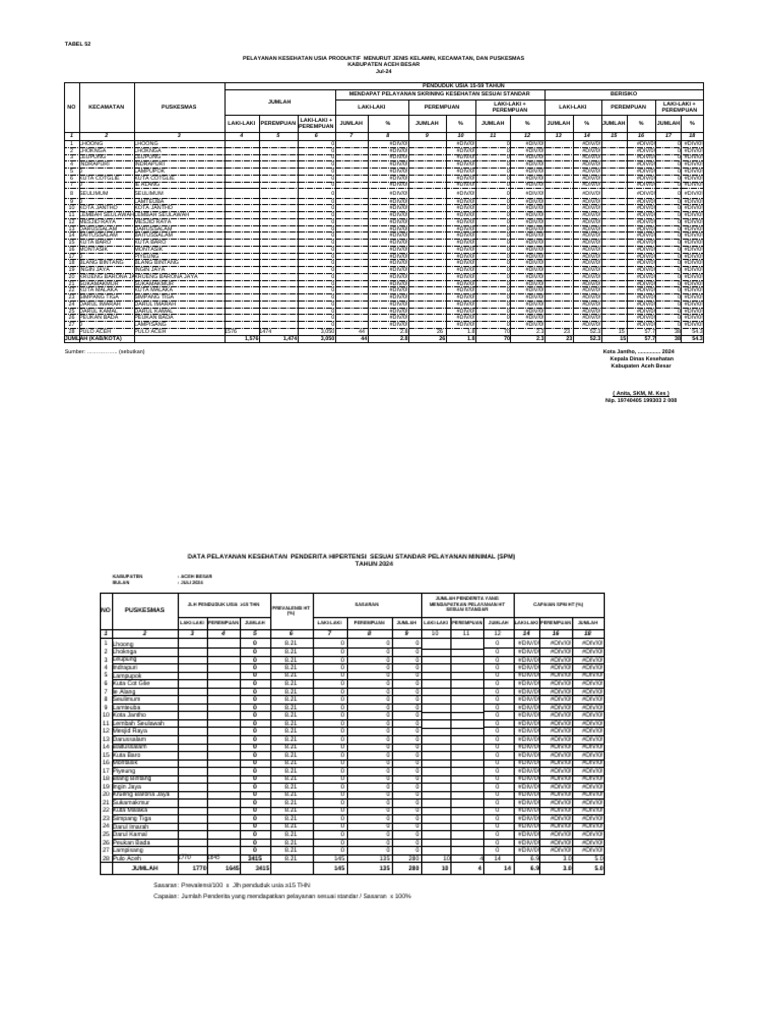 CAPAIN SPM PTM Juli 2024 PKM PULO ACEH | PDF