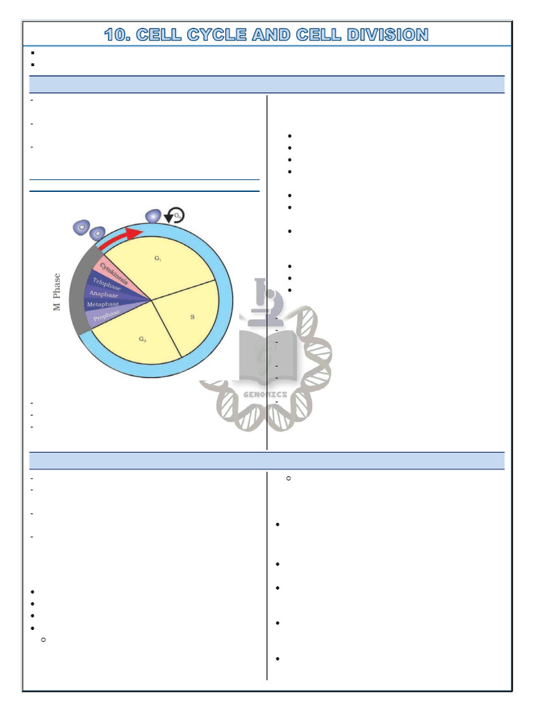 CHAPTER 10 CELL GROWTH DIVISION ANSWER KEY PDF visual data 6