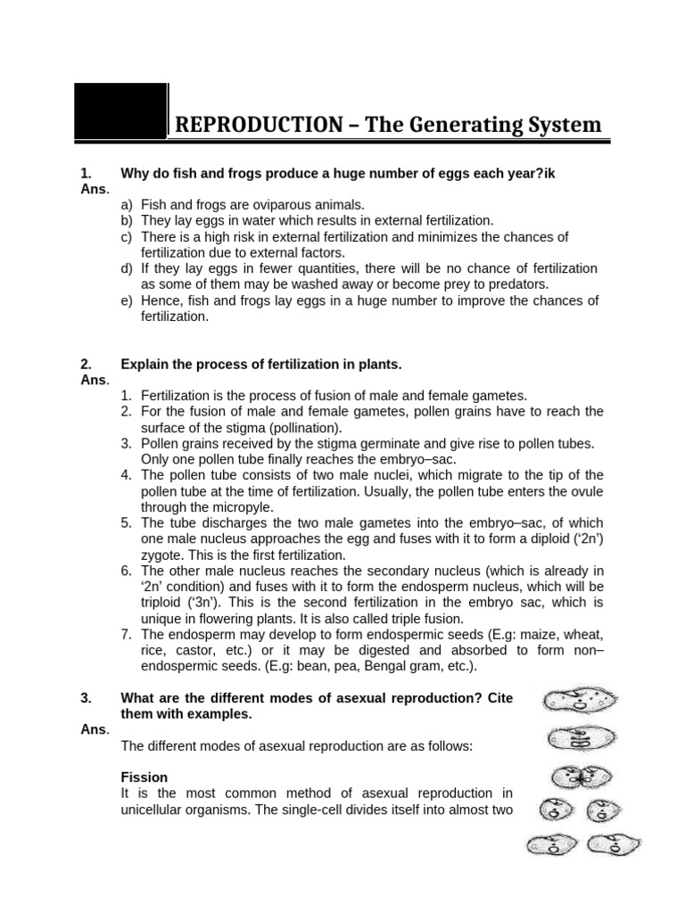 Chapter 6 Reproduction | PDF