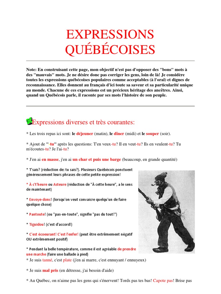 Dictionnaire Des Expressions Québécoises - Pierre Desruisseaux - État Très Bon
