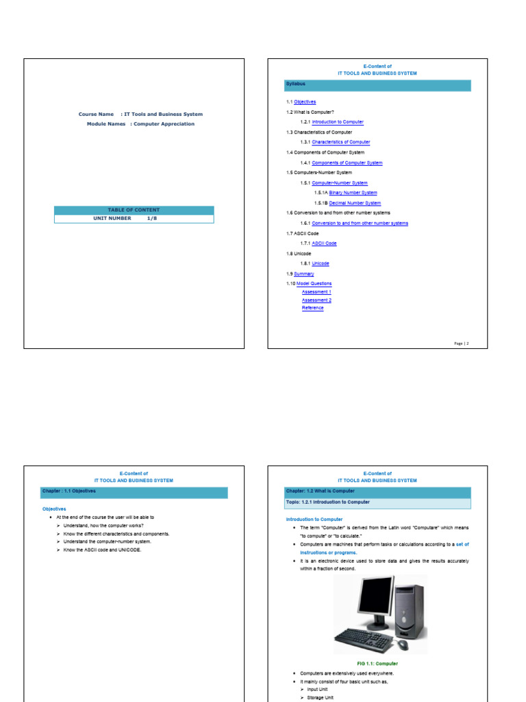 IT Tools and Business System | PDF