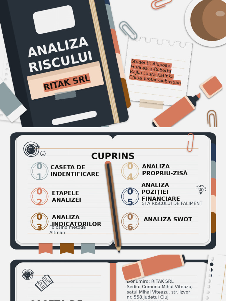 Proiect Managementul Riscului | PDF