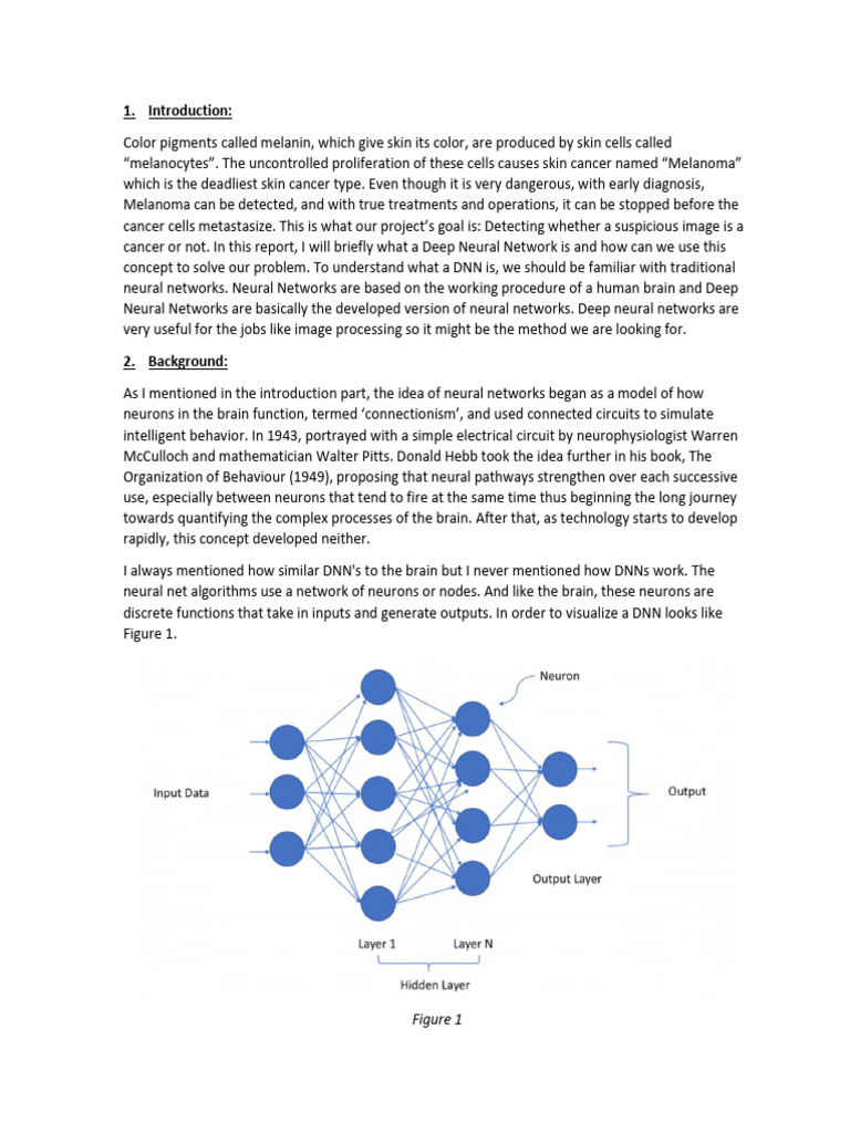 Deep Neural Networks | PDF