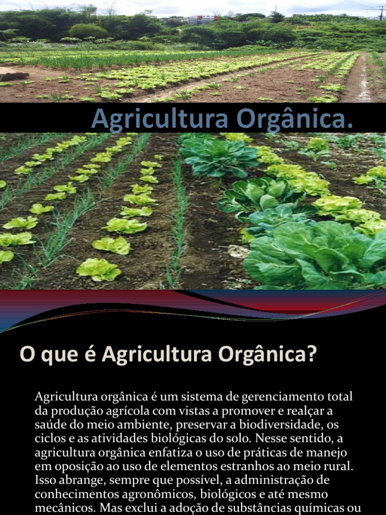 PDF) Complexidade e Agricultura: Organização e Análise Ergonômica Do  Trabalho Na Agricultura Orgânica