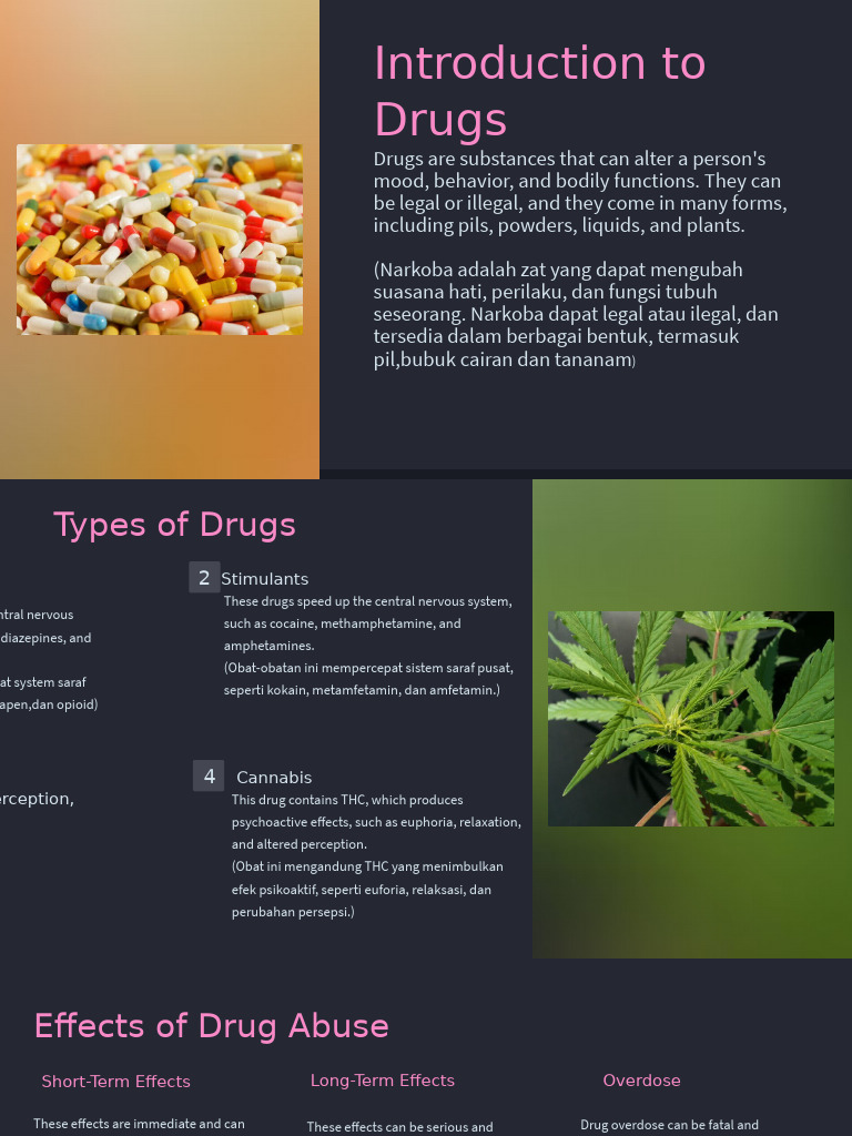 Introduction To Drugs | PDF