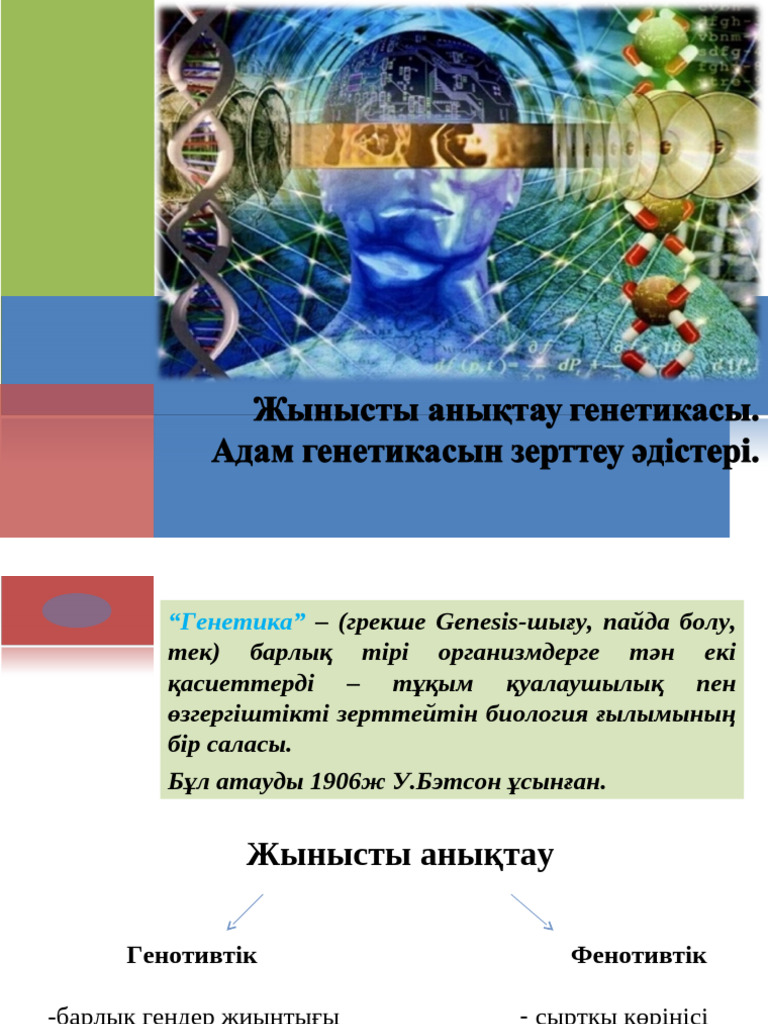 Секс кезінде балағат сөздер айтатын орысша порно
