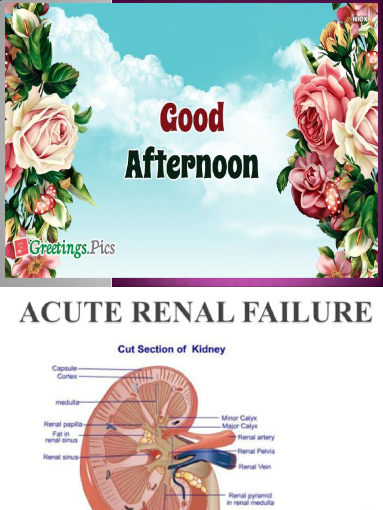 Acute Renal Failure (ARF) | PDF