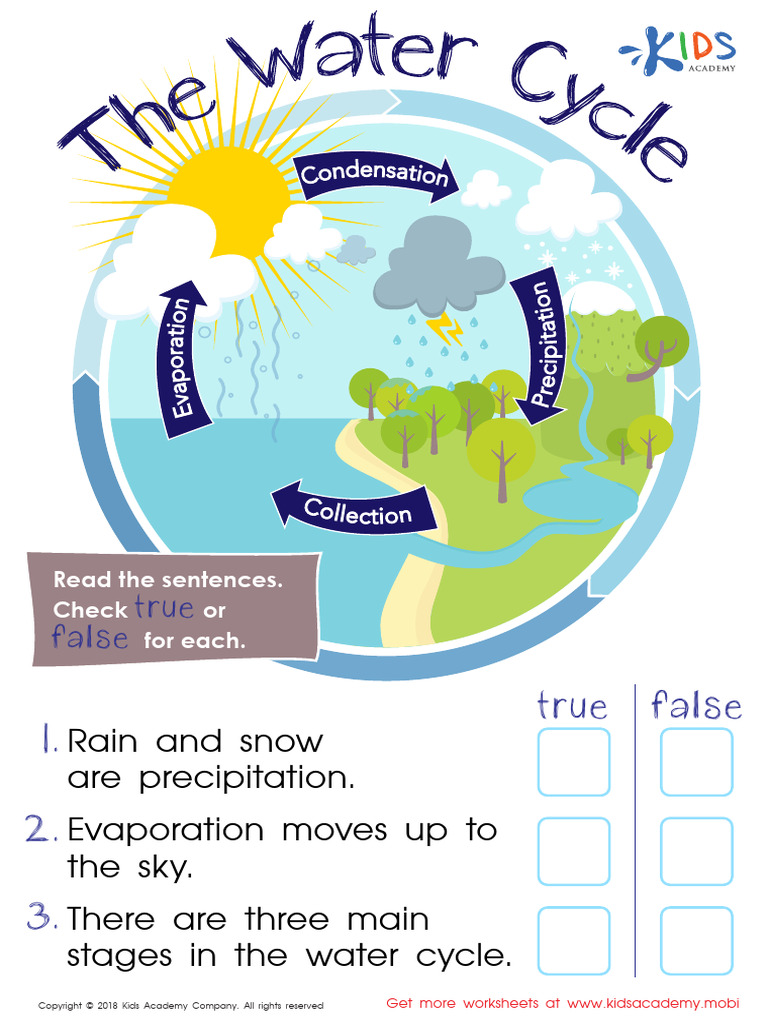 Grade 2 The Water Cycle Worksheet | PDF