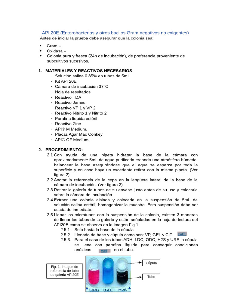 Api 20e | PDF
