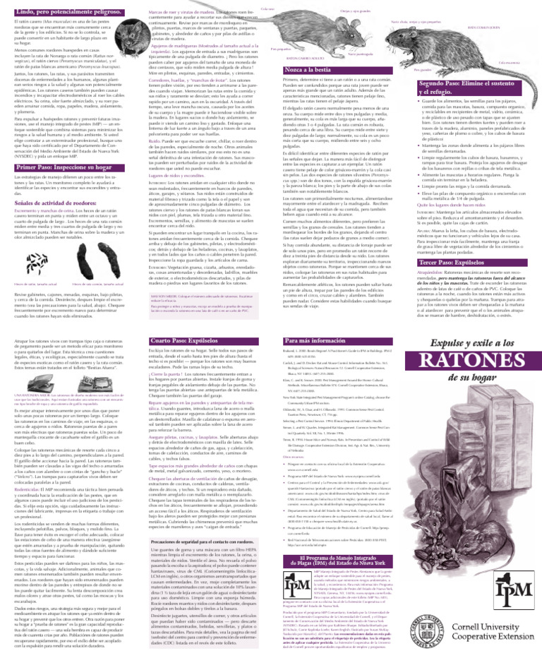 Raton Cornell | PDF | Rodent