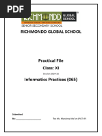 PDF Document