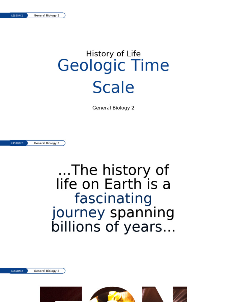 History of Life | PDF
