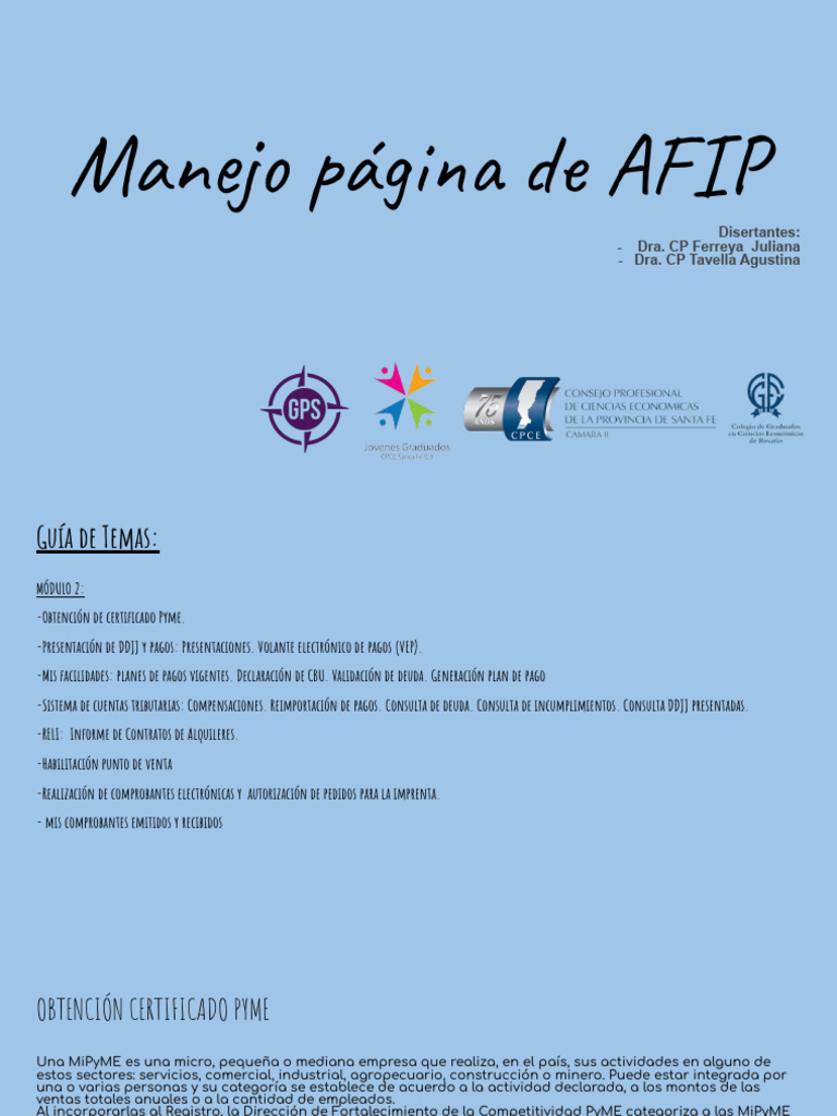 Manejo Pagina de Afip 2 | PDF