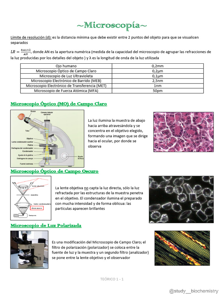 AeH - 1 - Microscopía, Técnicas Histológicas | PDF | Microscopio ...