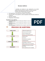 Resumen Auditoria