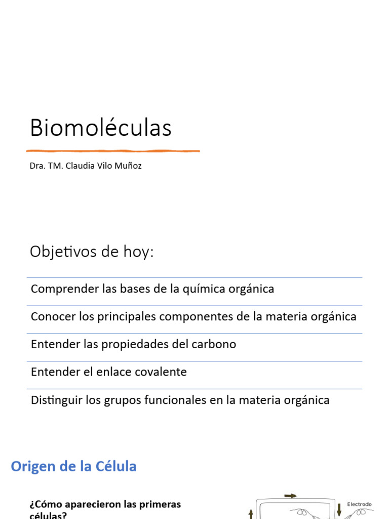 Clase 1 Bioq TM 2024 | PDF