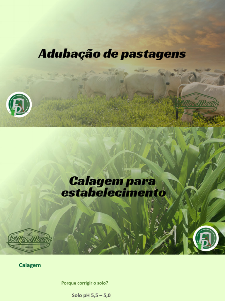 Aula 3 e 4 Modulo 2 - Calagem | PDF