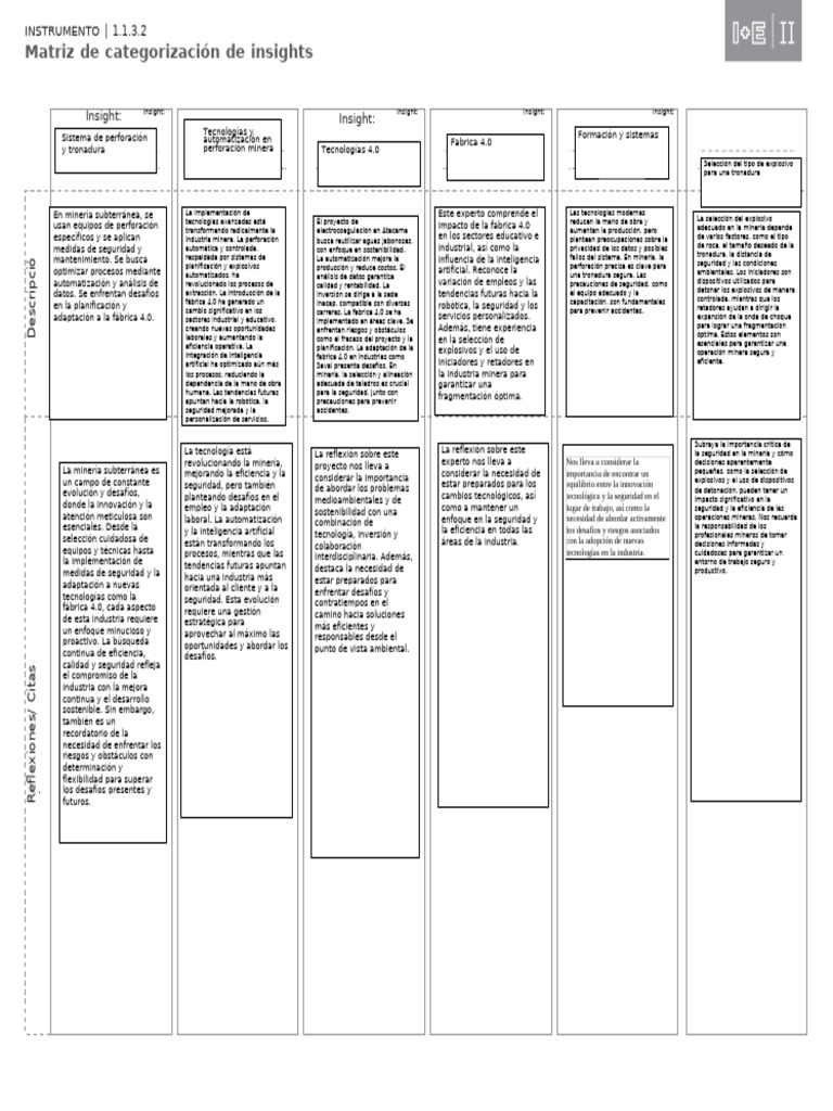 1-1-3-2-matriz-de-categorizaci-n-de-insigth-th-pdf