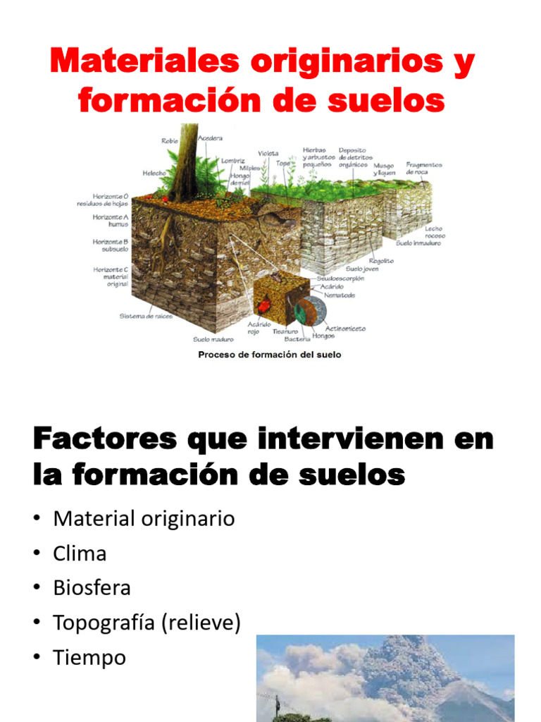 Formación Del Suelo | PDF