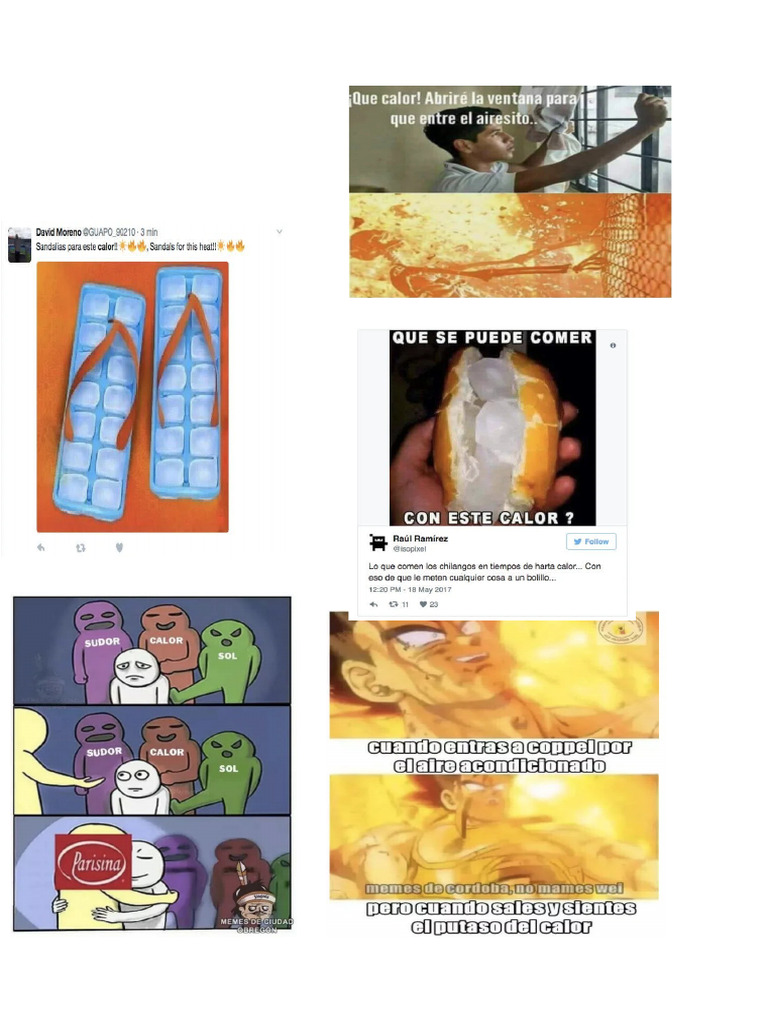 Memes | PDF