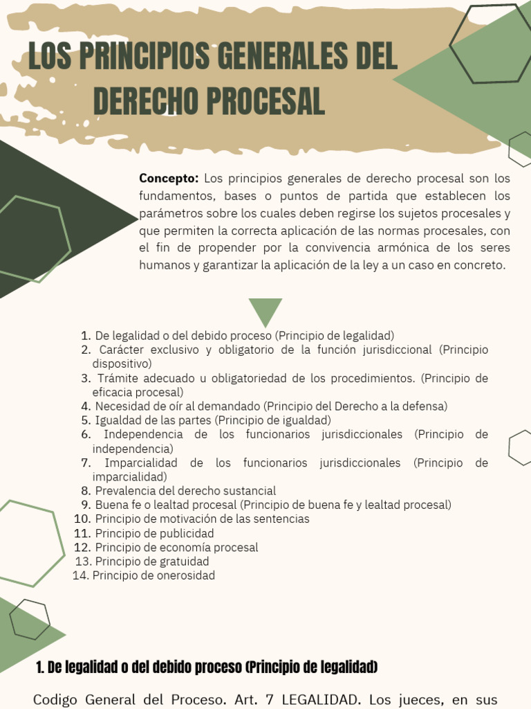 Principios del Derecho Procesal | PDF | Debido al proceso | Ley procesal