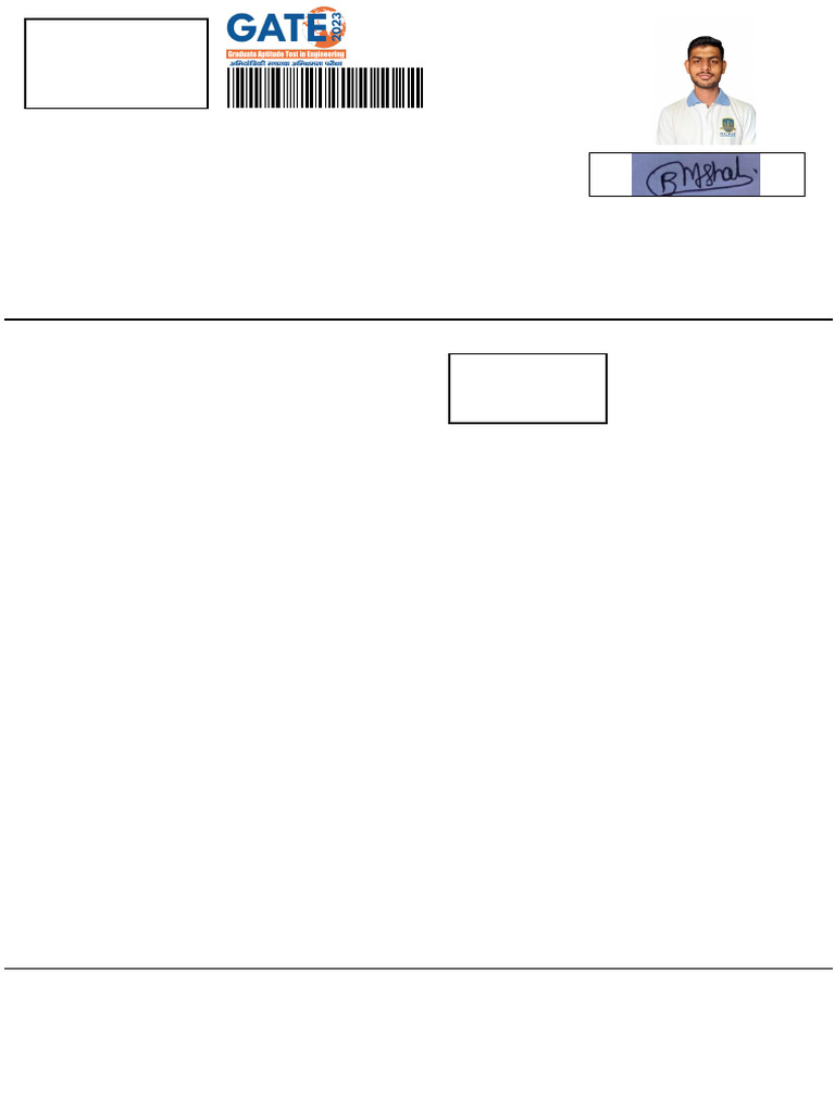 C372 Z33 Application Form | PDF