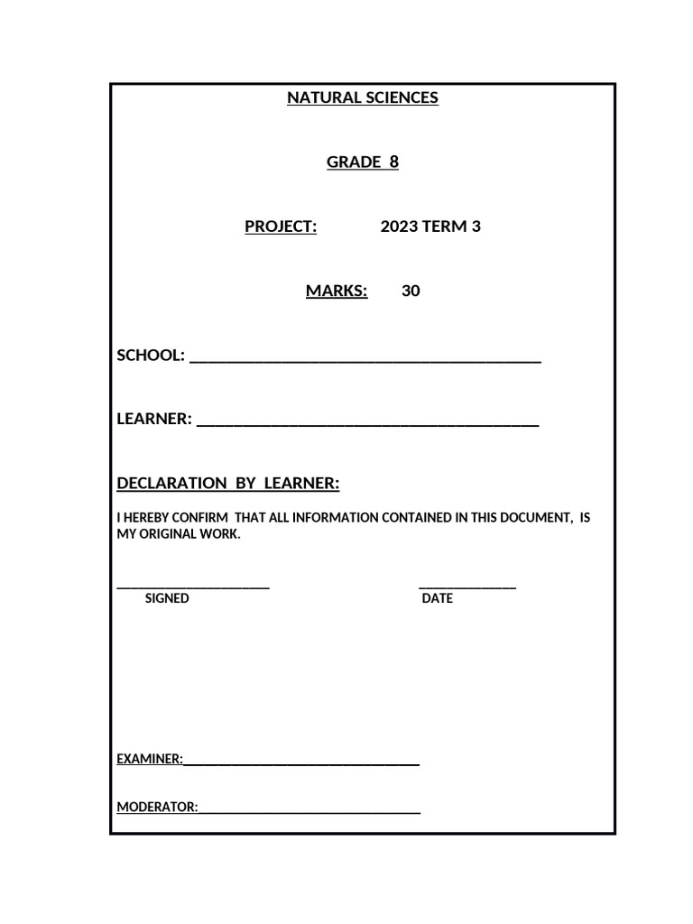 NST Grade 8 Project | PDF