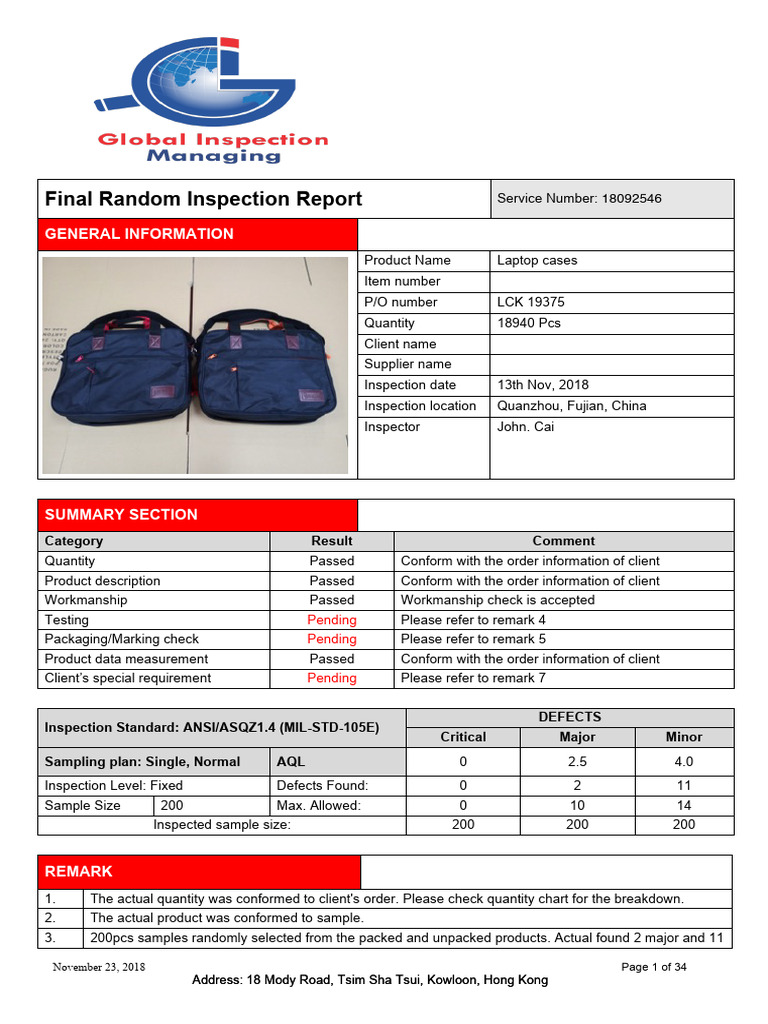 GIM Inspection Report | PDF