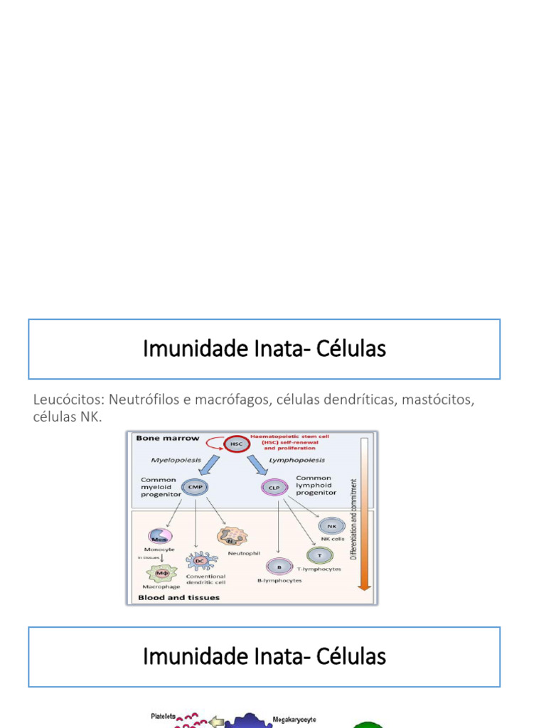 4 Imunidade Inata Barreiras Celulares, Fagocitose e Sistema Complemento ...