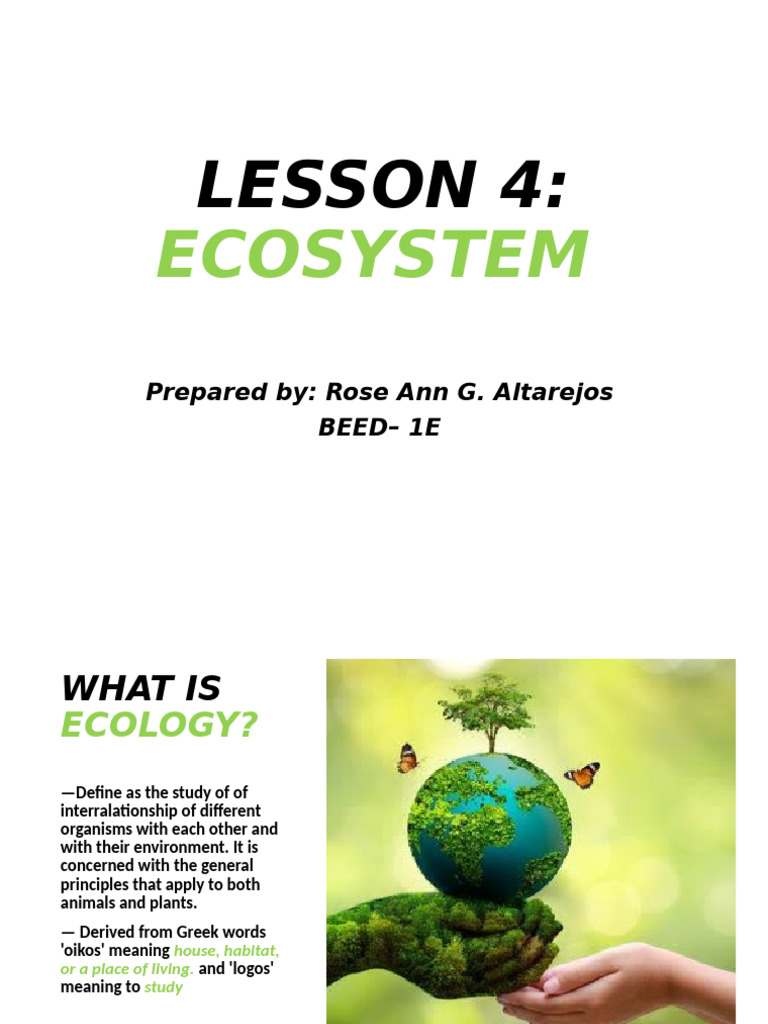 Lesson 4-Wps Office | PDF