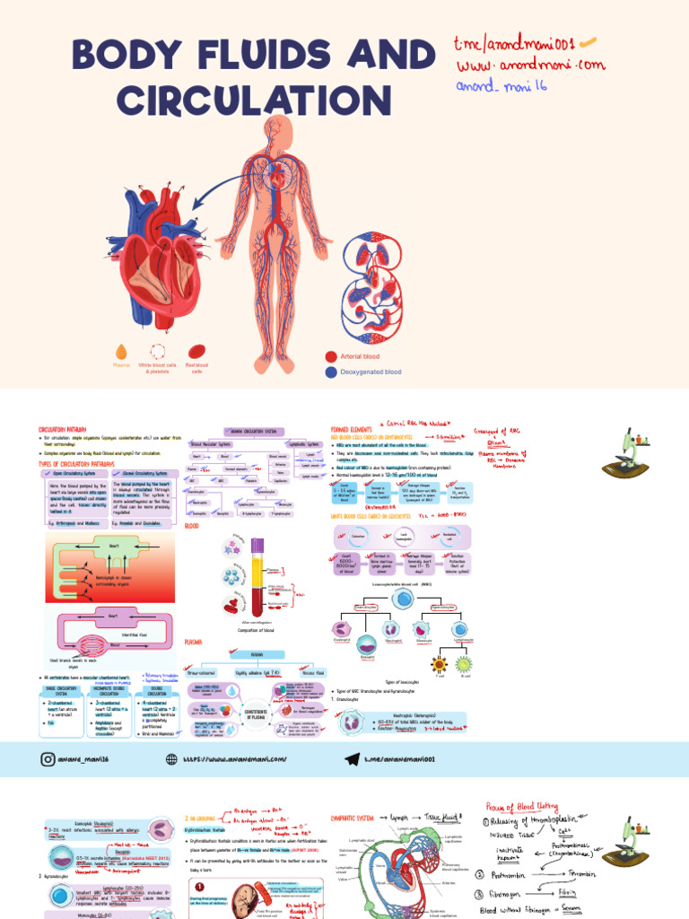 Body Fluids and Circulation-2 | PDF