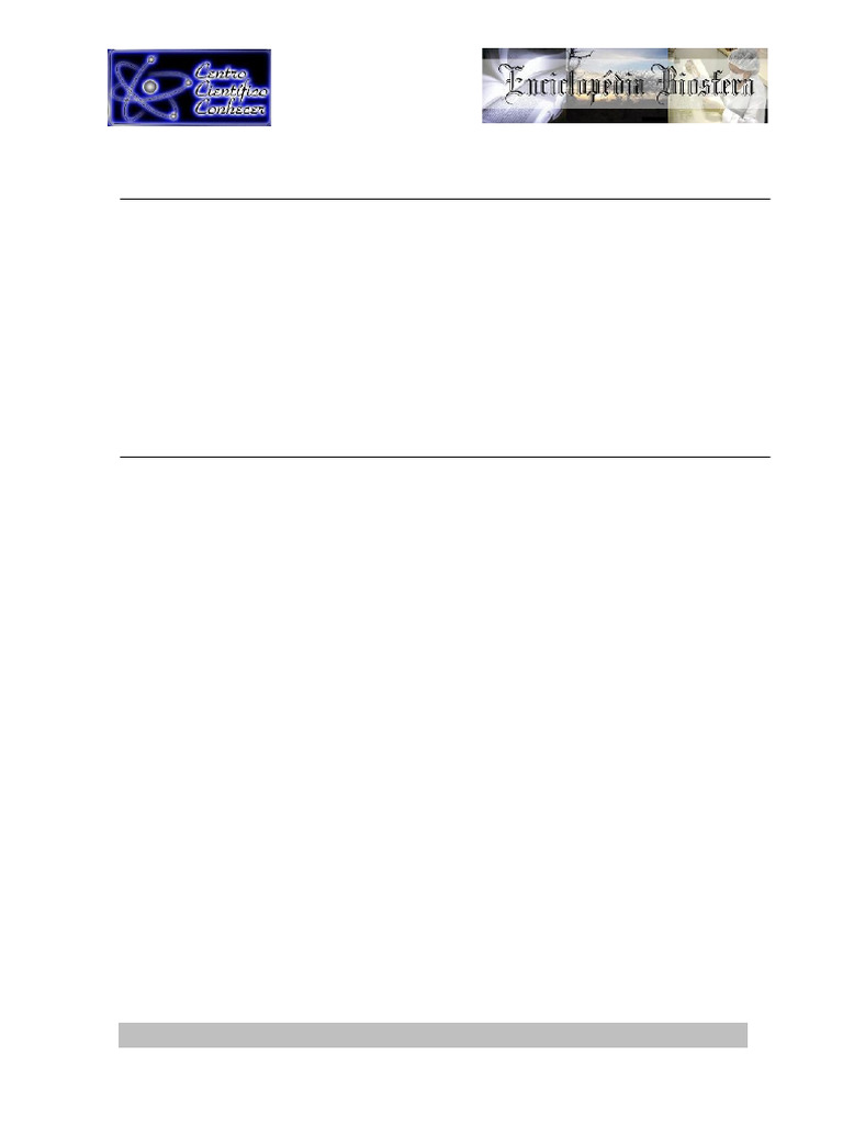 A Importancia | PDF