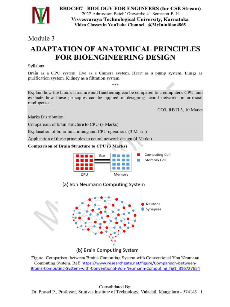 Bioengineering Design Anatomical Principles Pdf Science
